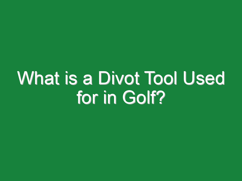 what is a divot tool used for in golf 204