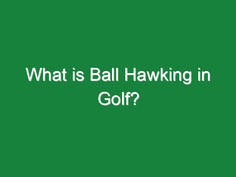what is ball hawking in golf 313