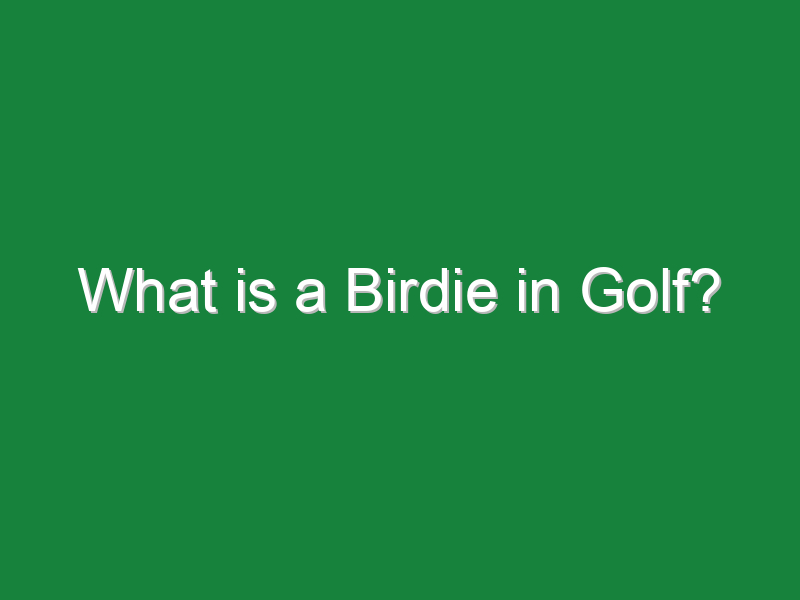 what is a birdie in golf 836