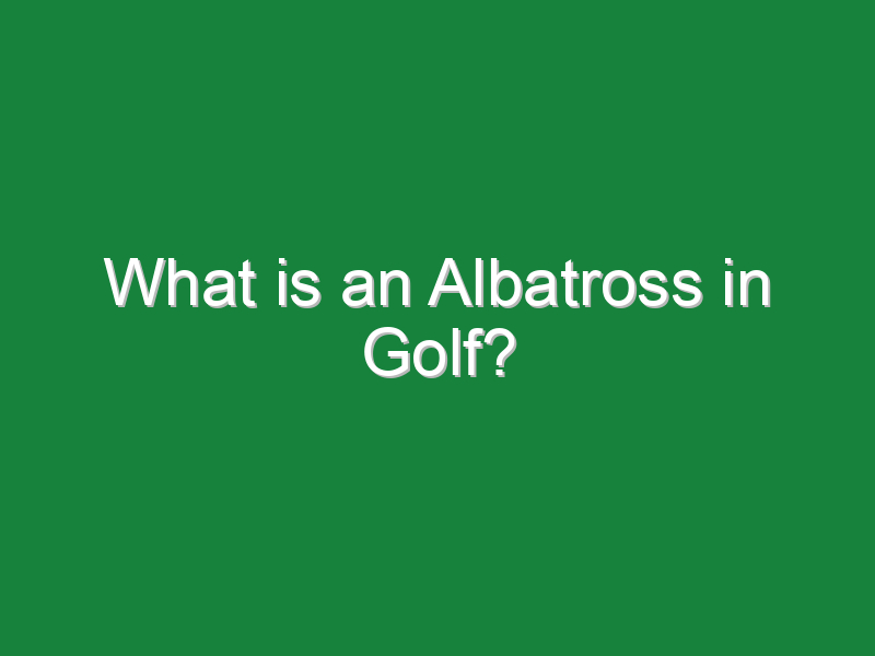 what is an albatross in golf 1009