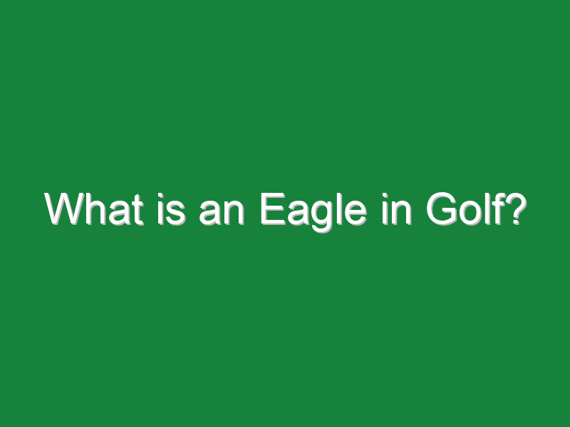 what is an eagle in golf 913
