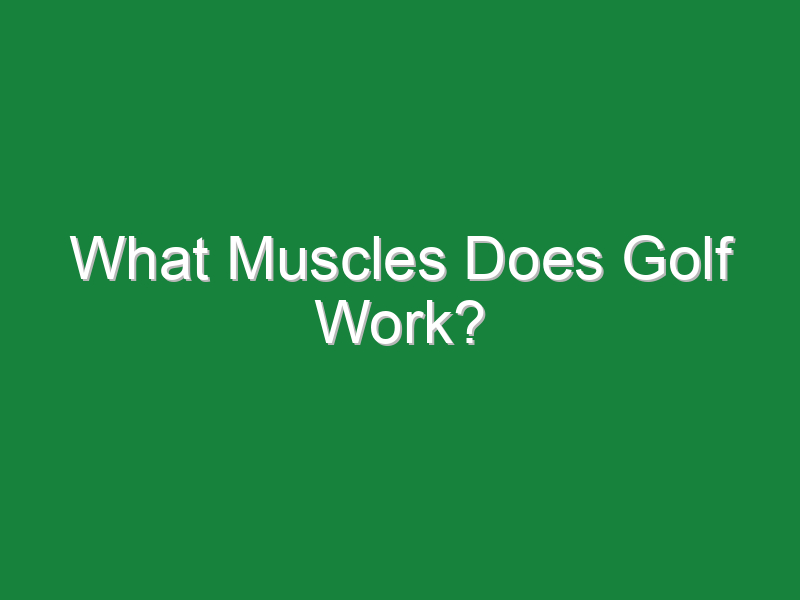 what muscles does golf work 944