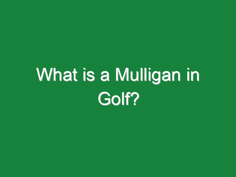 what is a mulligan in golf 1113
